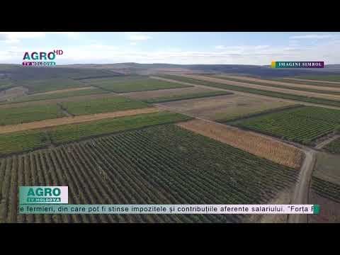 Asociațiile agricole din țară, în discuție cu autoritățile