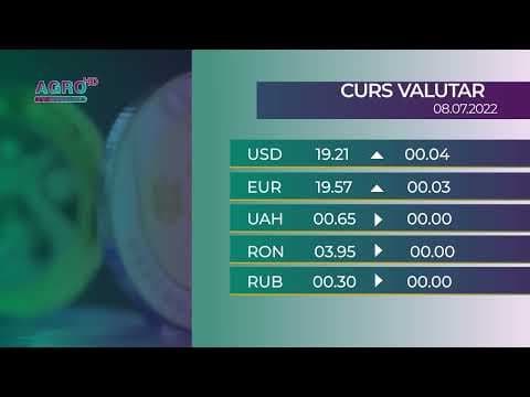 BNM: Cursul valutar pentru vineri, 08 iulie