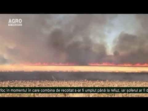 Peste 20 de hectare de grâu, cuprinse de flăcări