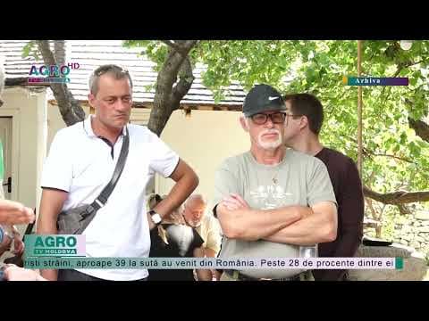 Numărul turiștilor străini, în creștere