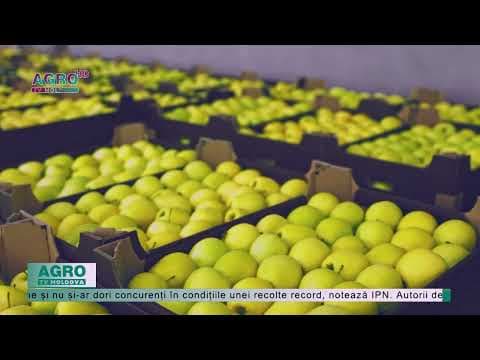 Horticultorii din Rusia solicită limitarea importului de mere din RM
