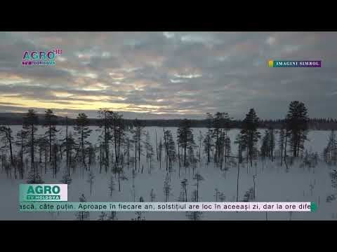 21 decembrie – cea mai scurtă zi din an, cu cea mai lungă noapte