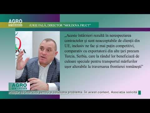 Exportatorii de fructe, revoltați de cozile de la vamă / VIDEO