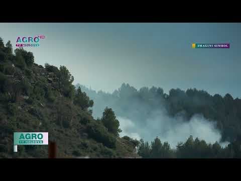 Avertizare IGSU: Orice scânteie poate provoca incendii pe suprafețe mari