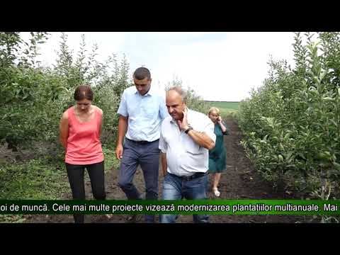 Noi afaceri în agricultură