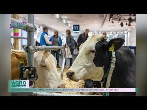 Inovații în domeniul creșterii animalelor: Inteligența artificială transformă sectorul zootehnic la EuroTier 2024