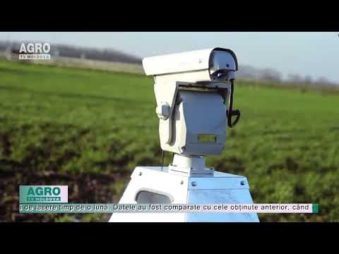 VIDEO/Turnurile cu laser țin gripa aviară departe de fermele de păsări
