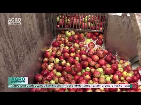 Cumpără mere cu 1,40 lei și vând sucul cu 26,59