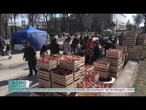 IA MOLDOVA ACASĂ, pe 6 și 7 martie