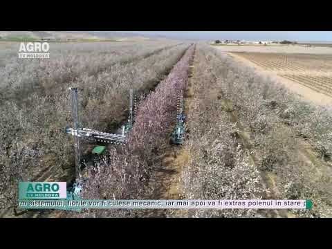 Sectorul agricol are nevoie de polenizare artificială
