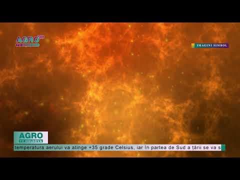 COD PORTOCALIU de caniculă. Temperatura aerului va ajunge la + 38°C