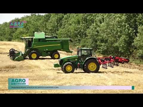 Republica Moldova solicită sprijin internațional pentru sectorul agricol afectat de secetă