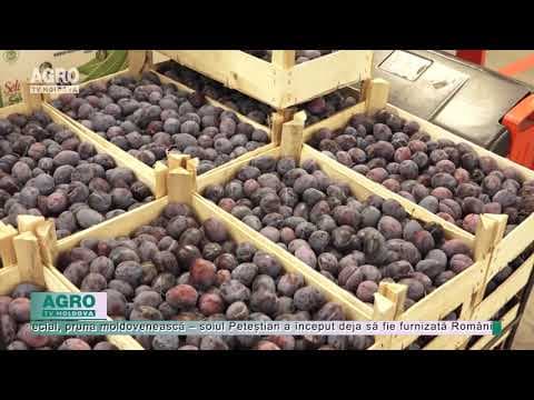 Prețul înalt la prune nu ne încurcă să le exportăm