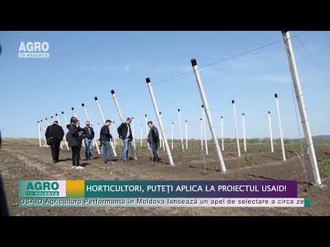Horticultori, puteți aplica la Proiectul APM!