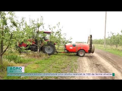 Cât timp rămân în sol pesticidele folosite în agricultură?