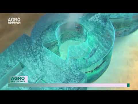 VIDEO/Fermele de alge marine vor alimenta întreaga Europa