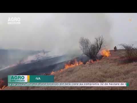 Incendiile de vegetație fac prăpăd în Moldova