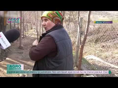 Scandal din cauza unui drum la Chișcăreni, raionul Căușeni