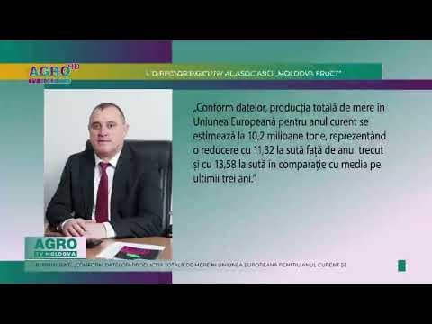 Recolta de mere din acest an, cu circa 14 la sută mai mică