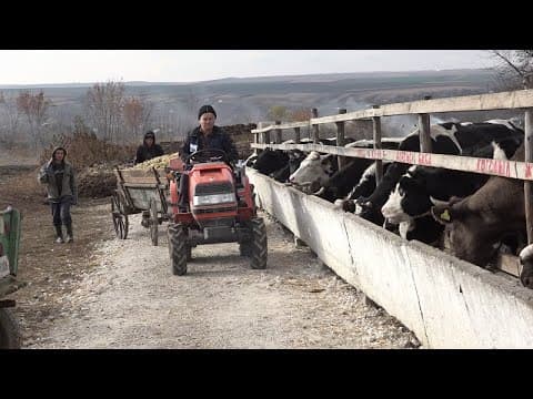 Business-ul din sectorul zootehnic nu aduce profit / VIDEO