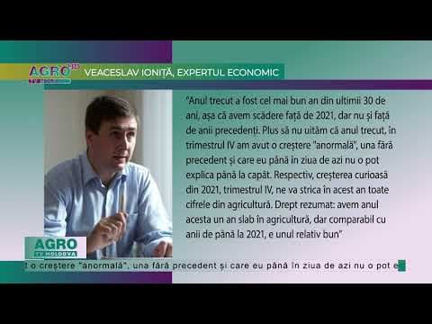 Prognoze pesimiste pentru anul agricol curent