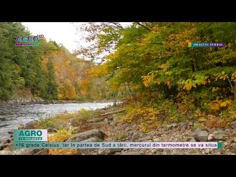 Vremea se va încălzi în week-end, prognozează meteorologii