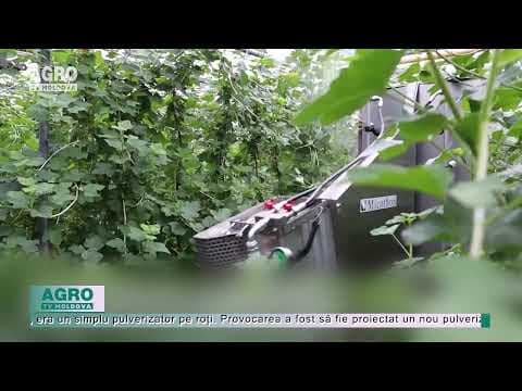 VIDEO/Mașină inteligentă de stropit