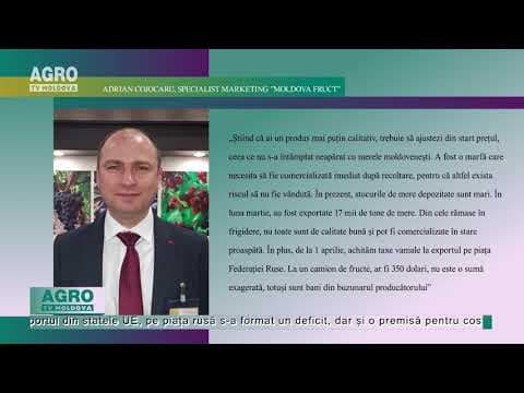 Tot mai puțin loc pentru merele moldovenești pe piața rusă