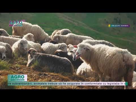 AIPA a finalizat procesul de solicitare a subvențiilor în sectorul zootehnic