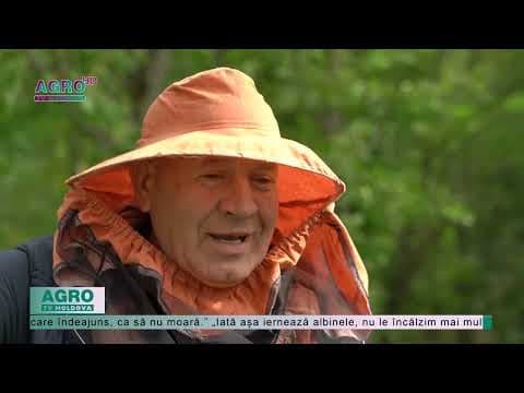 Sezonul rece, nu i-a luat prin surprindere pe apicultori