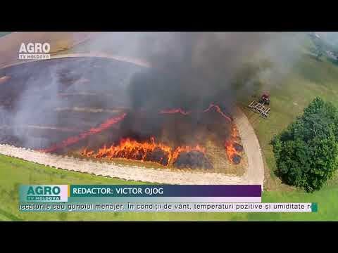 Pericol de incendii de vegetație