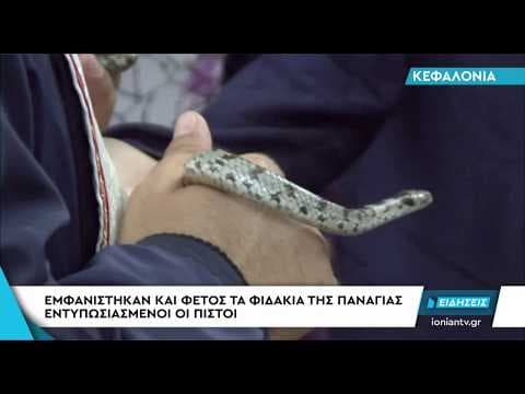 Misterele mănăstirii invadate, an de an, de șerpi