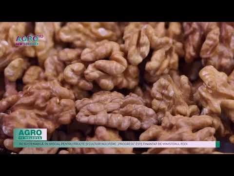 Un nou proiect „Progress” va fi implementat în sectorul agricol