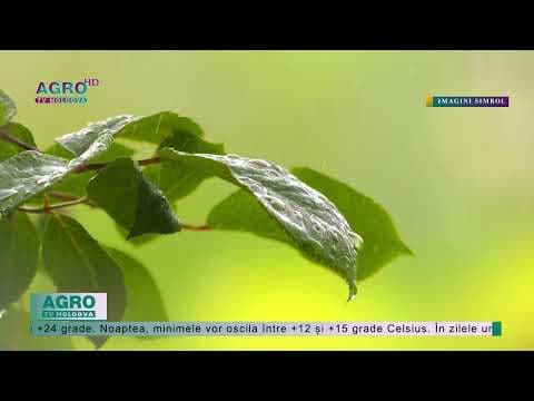 Vreme instabilă, prognozează meteorologii