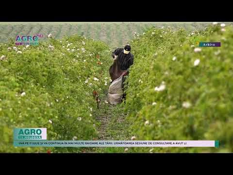 Consultările privind organizarea și funcționarea Camerelor Agricole au început la Hîncești