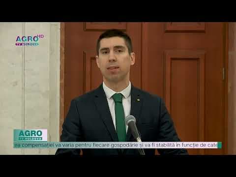 Noul ministru al MAEIE, Mihail Popșoi, a depus jurământul de învestire