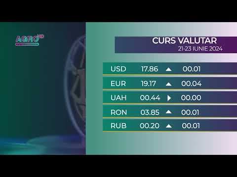 BNM: Curs valutar 21-23 iunie, 2024
