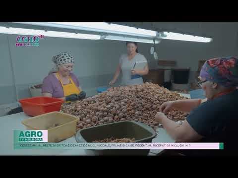 Nucile și migdalele moldovenești cuceresc piața europeană