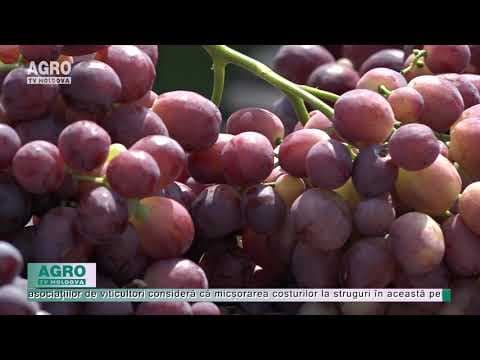 Prețul și oferta de struguri, în scădere