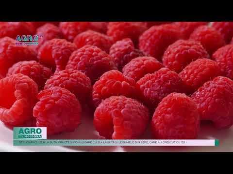 Creștere ușoară a prețurilor la produsele agricole în 2024