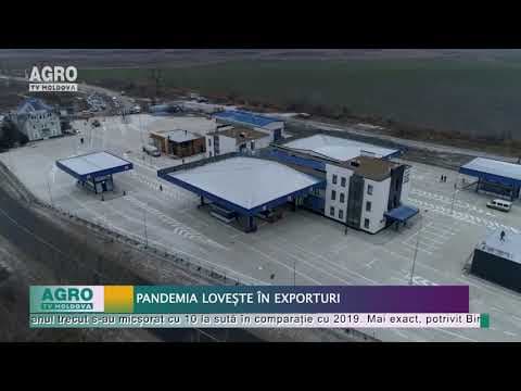 Pandemia lovește în exporturi