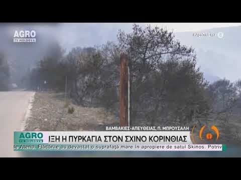 Incendii de vegetație în Grecia