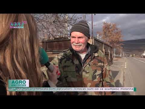 Cu agricultura la pământ, nici de sărbătoare nu le arde…