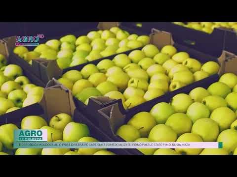 Exportul mai multor fructe a înregistrat o creștere în acest sezon