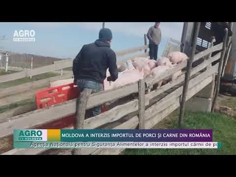 Moldova a interzis importul de porci și carne din România