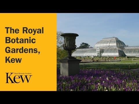 (VIDEO) UK: Grădinile botanice regale tocmai au primit un record mondial