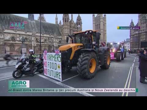 Zeci de fermierii londonezi s-au adunat în fața Parlamentului Marii Britanii, pentru a protesta
