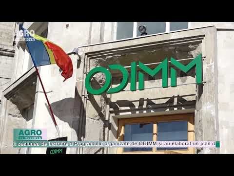 Granturi de până la 200 de mii de lei