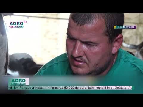 A investit un milion de lei într-o fermă, iar acum riscă să falimenteze