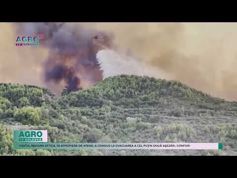 Grecia – Două localități evacuate din cauza incendiilor